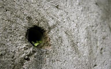 聚焦进博会 保健电器配件展区亮点与项目解析